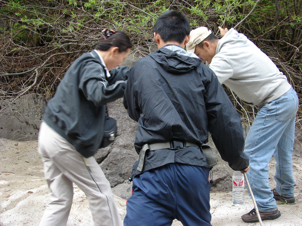 1540365646962751.jpg 003.jpg